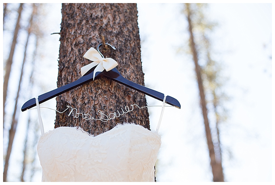 Wedding Dress on Pine Tree at Devil's Thumb